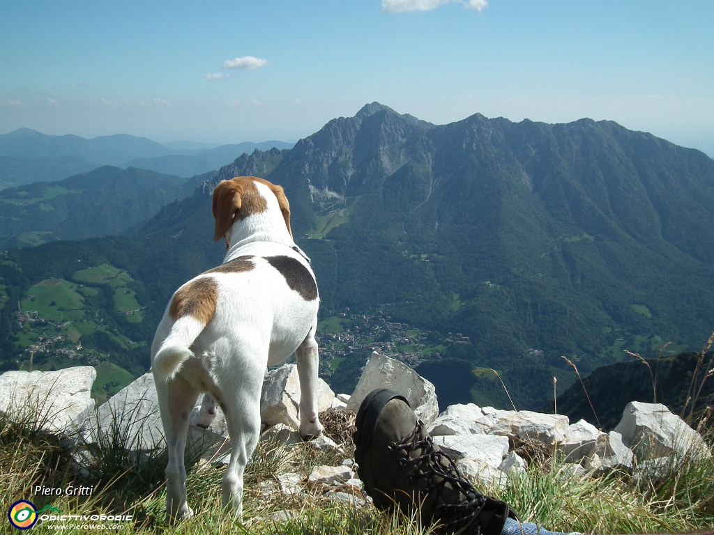 74 Brownie si gode il panorama.JPG